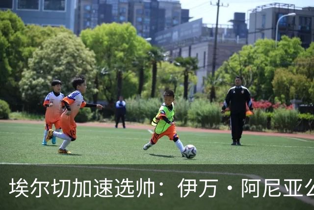埃尔切加速选帅：伊万·阿尼亚公开表态，多名教练进入视野