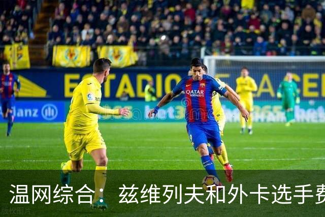 温网综合：兹维列夫和外卡选手费里晋级男单四强