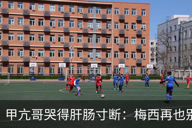 甲亢哥哭得肝肠寸断：梅西再也别想夺冠了 C罗球迷得救了 我最幸福