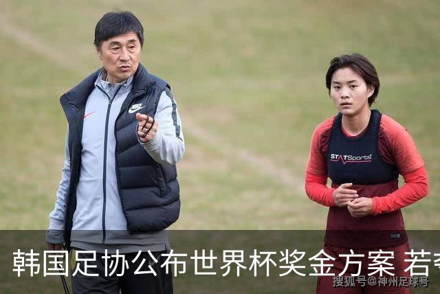 韩国足协公布世界杯奖金方案 若夺冠每人奖金超10亿韩元